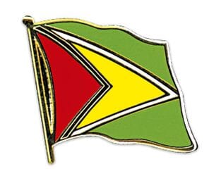 Flaggen Pin Guyana geschwungen | ca. 20 mm - Bild 1