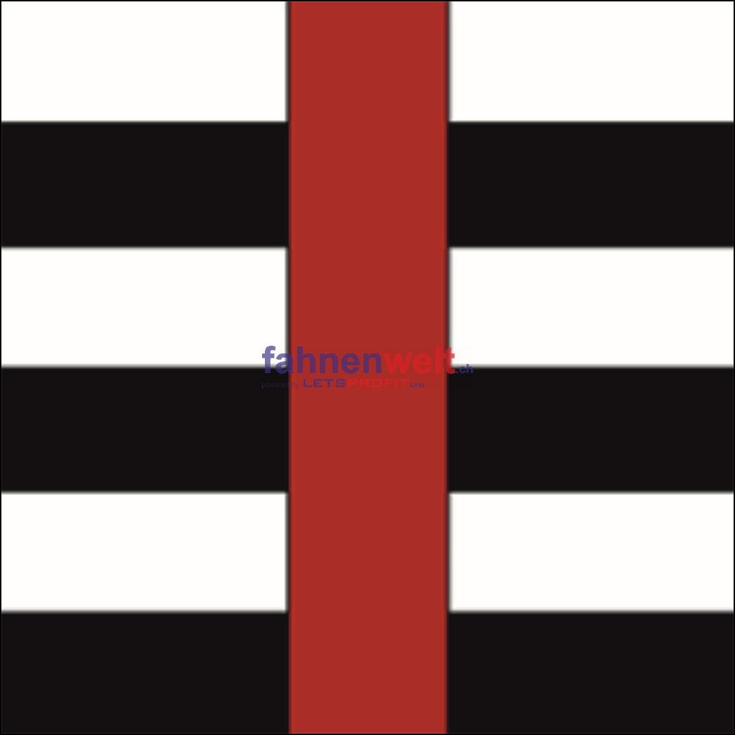 Fahne Gemeinde 8909 Zwillikon Ehemalige Gemeinde (ZH) | 30 x 30 cm und Gr&ouml;sser - Bild 1