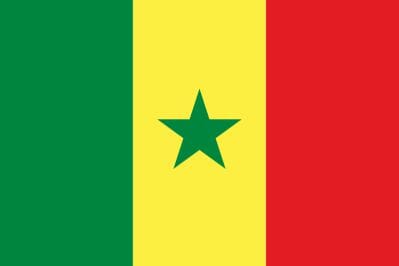 Senegal Fahne gedruckt | 60 x 90 cm - Bild 1