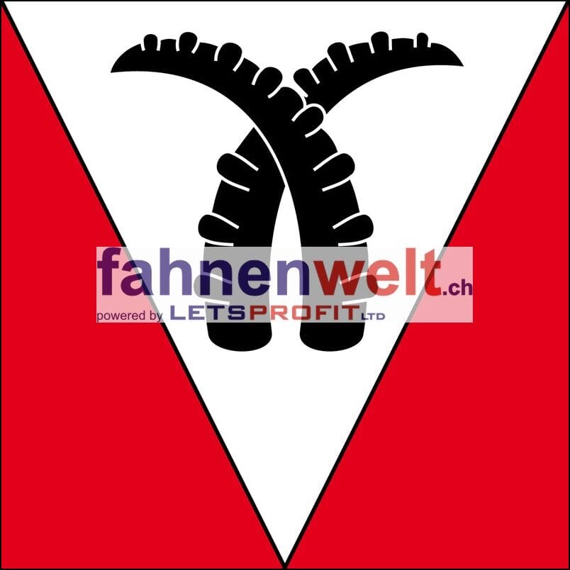 Fahne Gemeinde 3813 Saxeten (BE) | 30 x 30 cm und Gr&ouml;sser - Bild 1