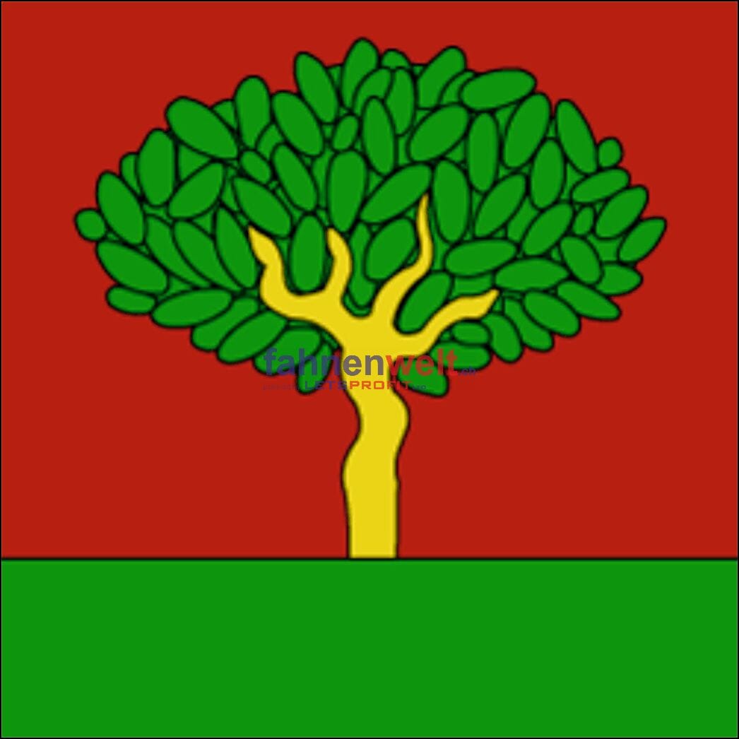 Fahne Gemeinde 6211 Buchs Ehemalige Gemeinde (LU) | 30 x 30 cm und Gr&ouml;sser - Bild 1