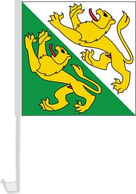 Autofahne / Autoflagge Thurgau | 30 x 30 cm - Bild 1