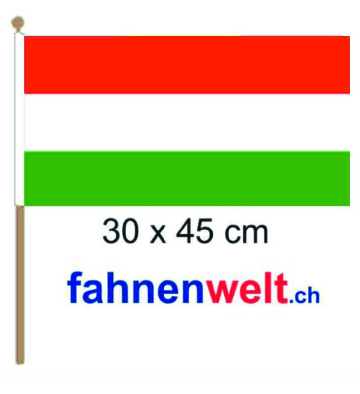 Ungarn Fahne / Flagge am Stab | 30 x 45 cm - Bild 1
