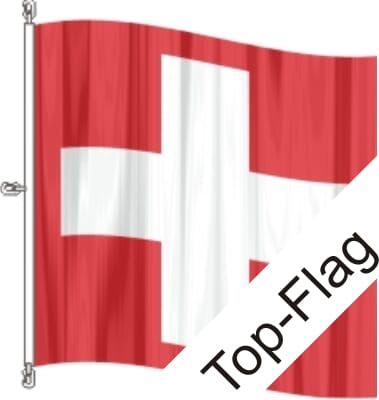 Fahne Schweiz CH gedruckt | 200 x 200 cm - Bild 1