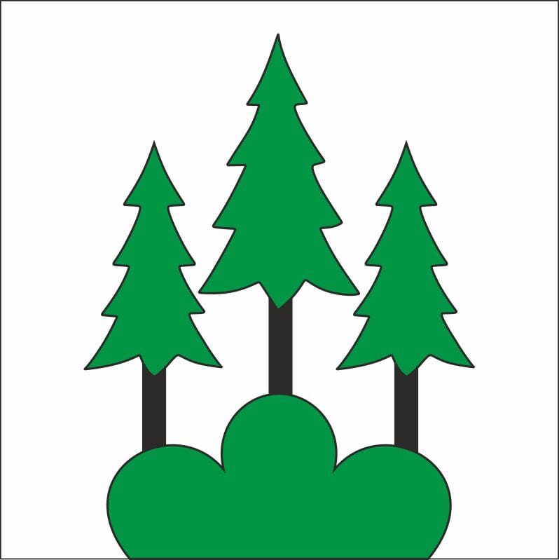 Fahne Gemeinde 7111 Pitasch Ehemalige Gemeinde (GR) | 30 x 30 cm und Gr&ouml;sser - Bild 1