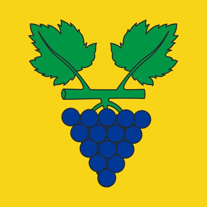 Fahne Gemeinde 6516 Cugnasco Ehemalige Gemeinde (TI) | 30 x 30 cm und Gr&ouml;sser - Bild 1