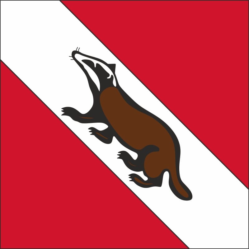 Fahne Gemeinde 1589 Chabrey Ehemalige Gemeinde (VD) | 30 x 30 cm und Gr&ouml;sser - Bild 1