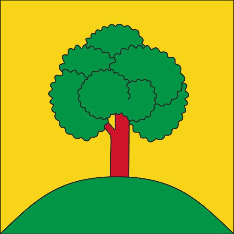 Fahne Gemeinde 8638 Goldingen Ehemalige Gemeinde (SG) | 30 x 30 cm und Gr&ouml;sser - Bild 1