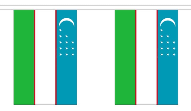 Fahnenkette Usbekistan gedruckt aus Stoff | 30 Fahnen 15 x 22.5 cm 9 m lang - Bild 1