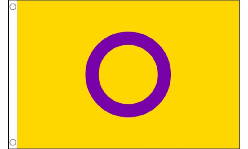 Intersex Fahne Ring mit gelbem Hintergrund aus Stoff | 90 x 150 cm - Bild 1