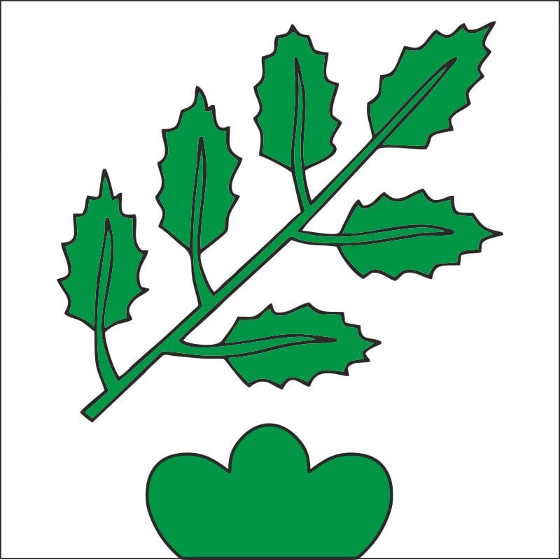 Fahne Gemeinde 3254 Balm bei Messen Ehemalige Gemeinde (SO) | 30 x 30 cm und Gr&ouml;sser - Bild 1