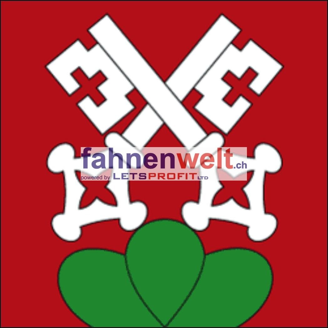 Fahne Bezirk La Neuveville (BE) | 30 x 30 cm und Gr&ouml;sser - Bild 1
