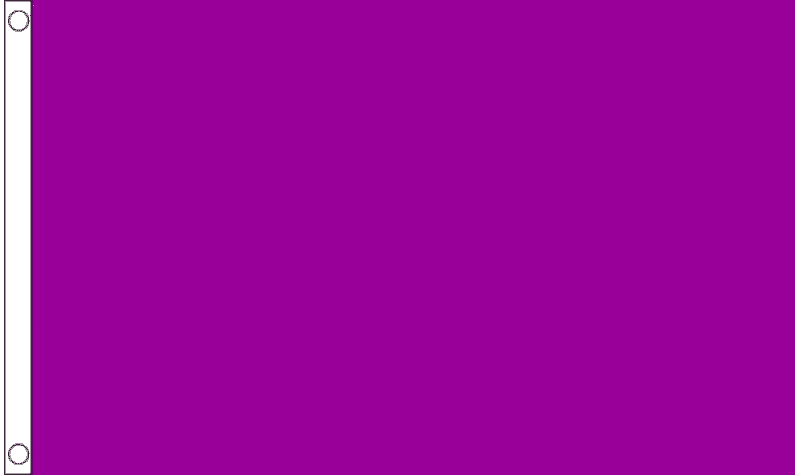 Purple Fahne gedruckt | 150 x 240 cm - Bild 1