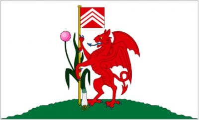 Cardiff Fahne gedruckt | 90 x 150 cm - Bild 1