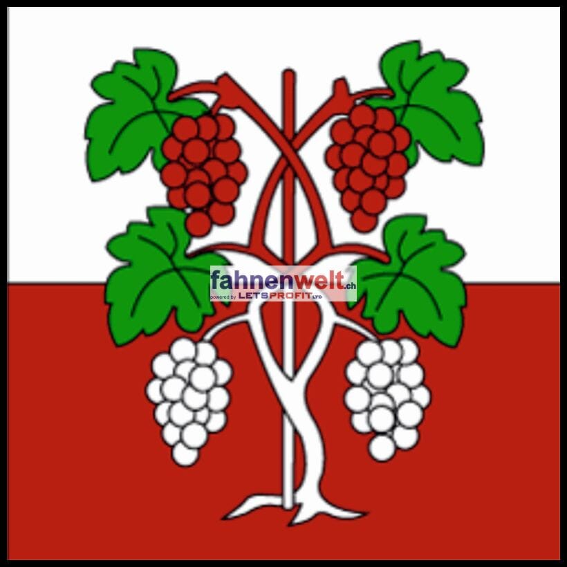 Fahne Gemeinde 1096 Villette Ehemalige Gemeinde (VD) | 30 x 30 cm und Gr&ouml;sser - Bild 1