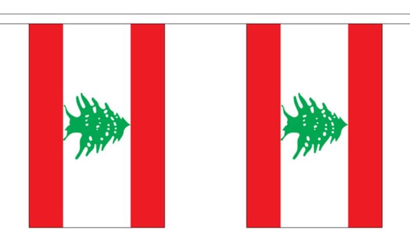 Fahnenkette Libanon gedruckt aus Stoff | 30 Fahnen 15 x 22.5 cm 9 m lang - Bild 1