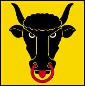 50% Fahne Uri (UR) gedruckt | 100 x 100 cm | Multi-Flag - Bild 1