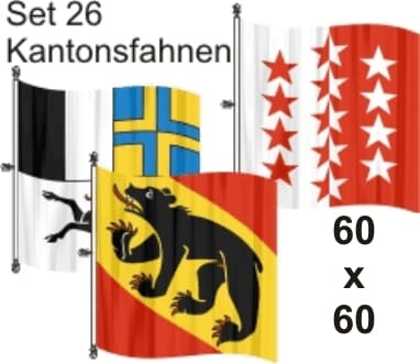 Set mit allen Kantonsfahnen mit Oesen SLF | 60 x 60 cm - Bild 1