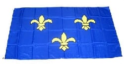 Fahne / Flagge Ile de France gedruckt | 90 x 150 cm - Bild 1