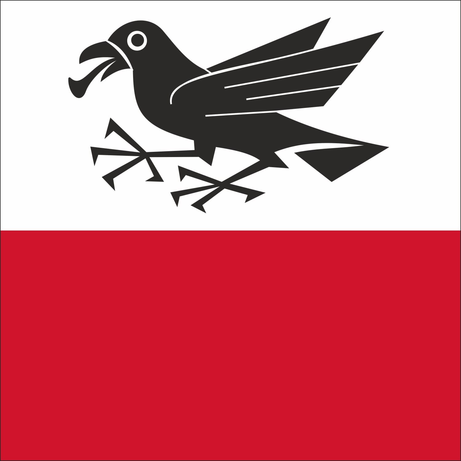 Fahne Gemeinde 3255 Rapperswil (BE) | 30 x 30 cm und Gr&ouml;sser - Bild 1