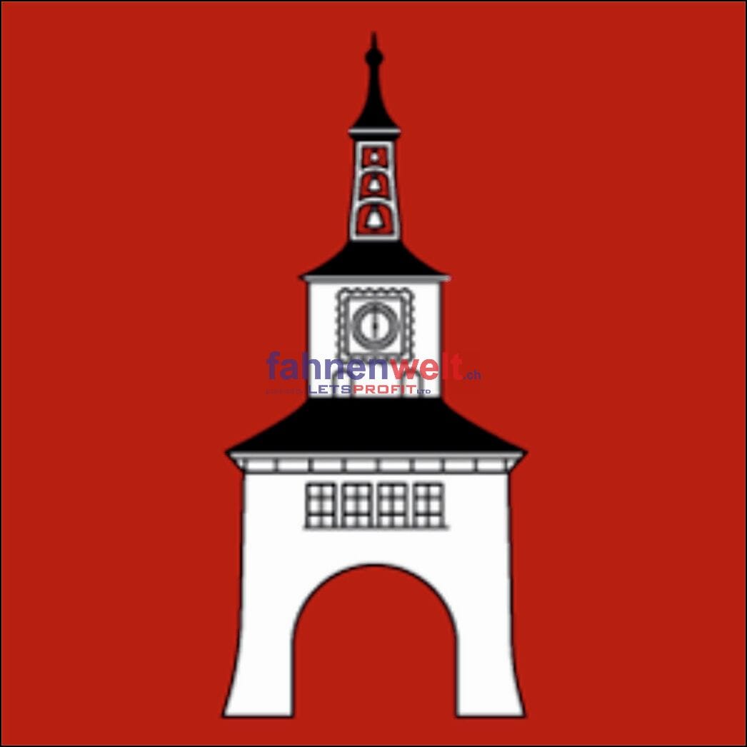 Fahne Gemeinde 9213 Hauptwil Ehemalige Gemeinde (TG) | 30 x 30 cm und Gr&ouml;sser - Bild 1