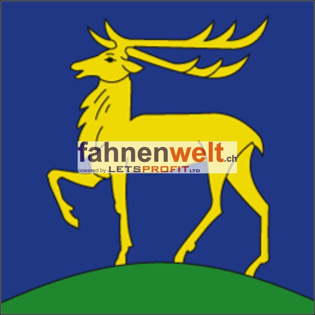 Fahne Gemeinde 5422 Oberehrendingen Ehemalige Gemeinde (AG) | 30 x 30 cm und Gr&ouml;sser - Bild 1