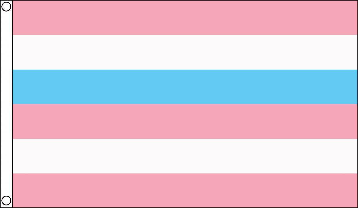 Intersex Fahne blau / pink gestreift aus Stoff | 90 x 150 cm - Bild 1