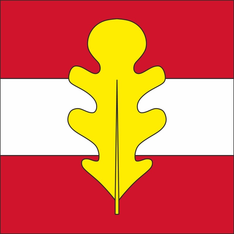 Fahne Gemeinde 8854 Siebnen Ehemalige Gemeinde (SZ) | 30 x 30 cm und Gr&ouml;sser - Bild 1
