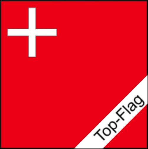 Fahne Schwyz SZ gedruckt | 150 x 150 cm - Bild 1