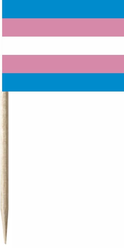 Mini-Fahnen Transgender Pack &agrave; 50 St&uuml;ck | 30 x 40 mm - Bild 1