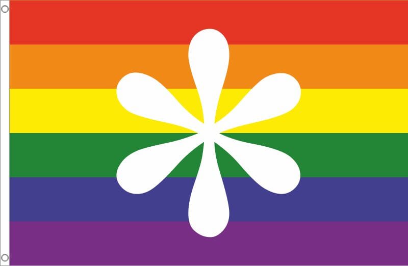 Regenbogen mit Genderstern Fahne aus Stoff | 60 x 90 cm - Bild 1