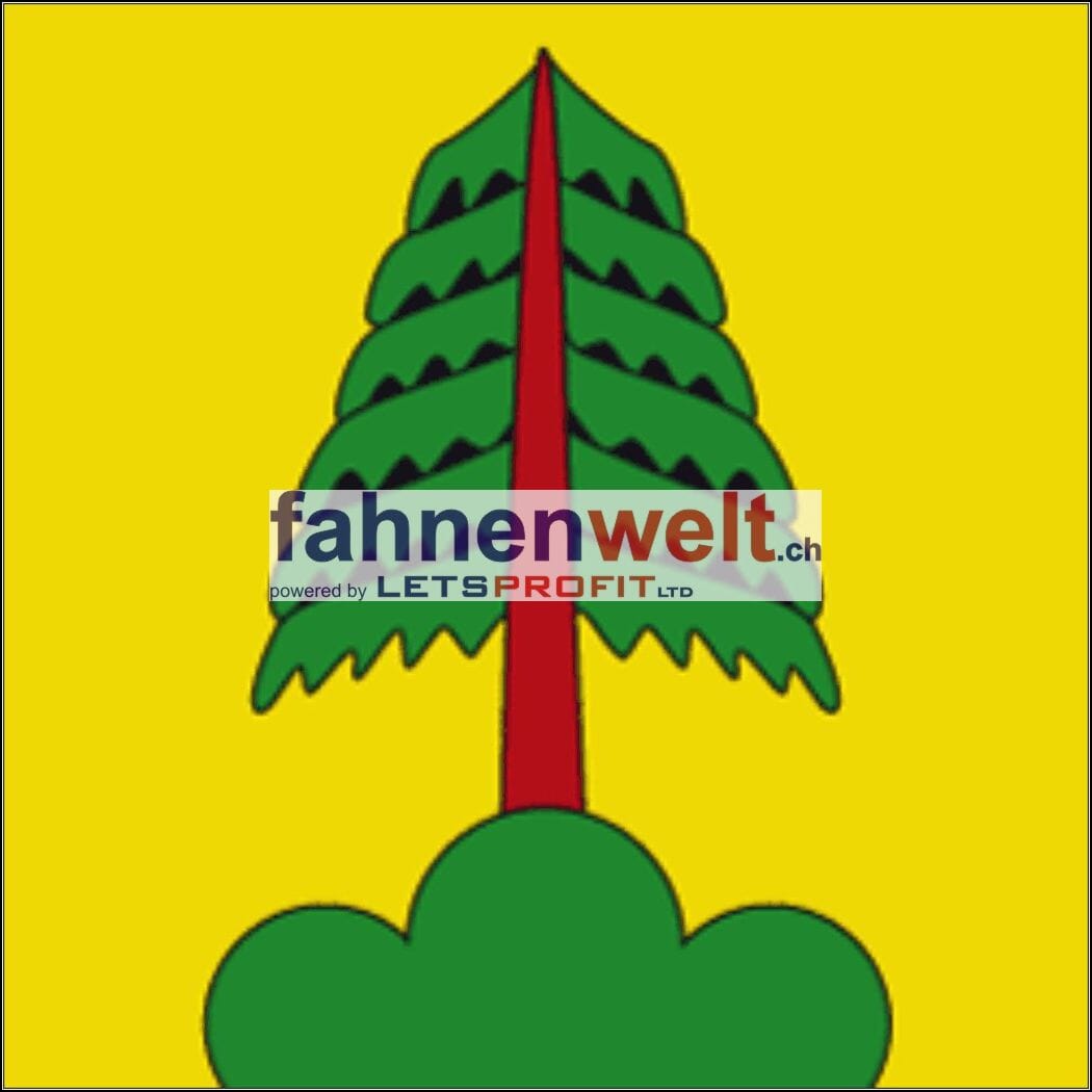 Fahne Kreis Seewis (GR) | 30 x 30 cm und Gr&ouml;sser - Bild 1