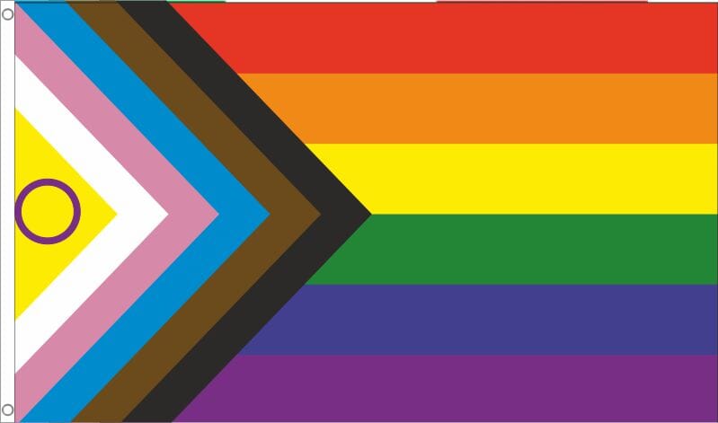 Intersex Progress Pride Fahne aus Stoff | 60 x 90 cm - Bild 1