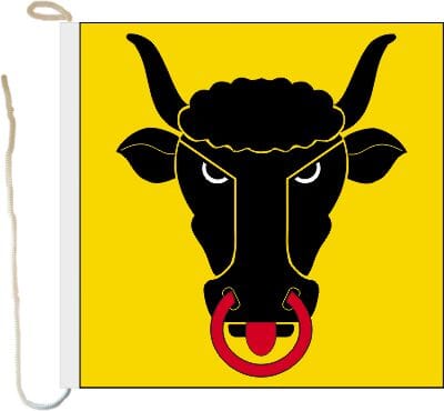 Bootsfahne / Bootsflagge Uri | 30 x 30 cm - Bild 1