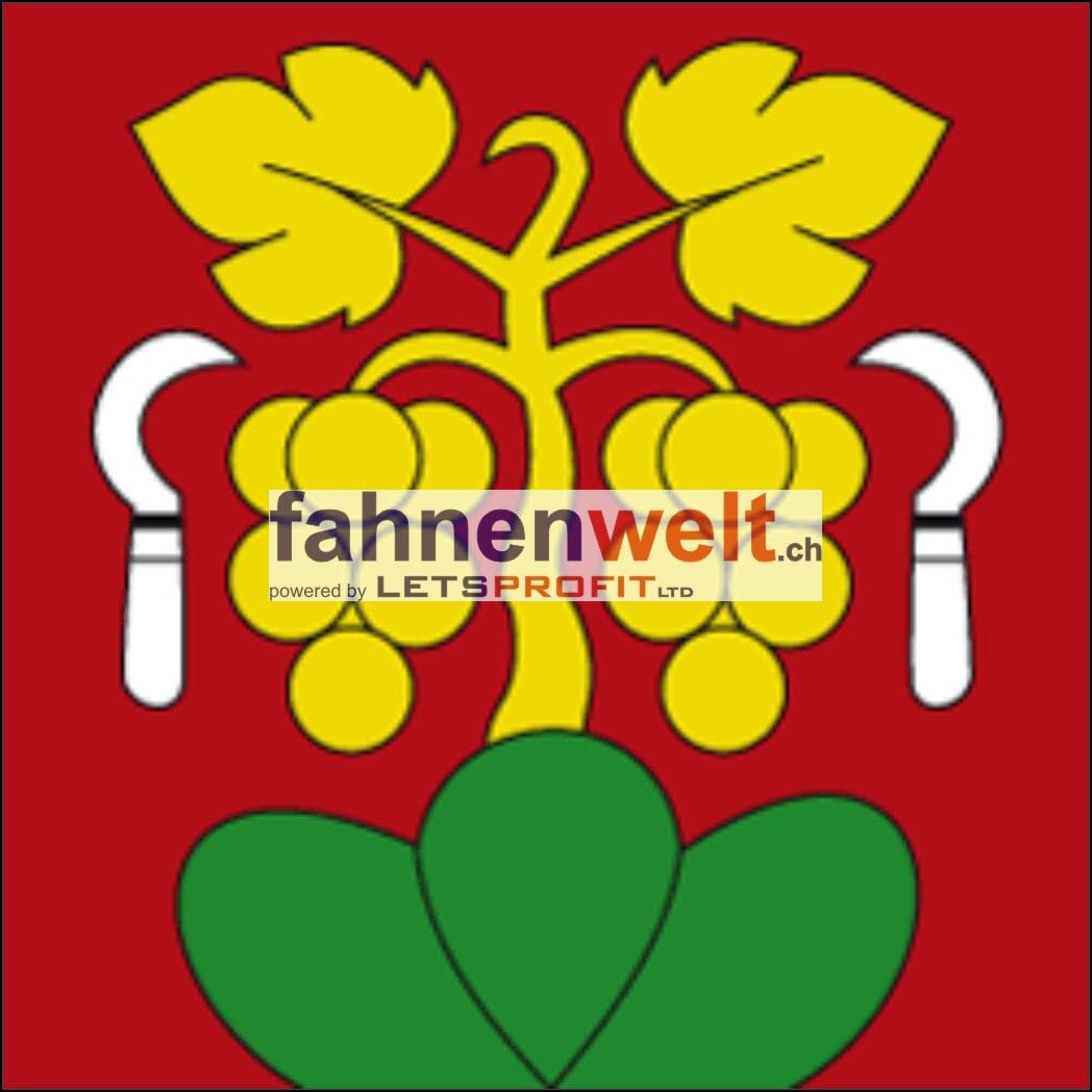 Fahne Gemeinde 2513 Twann Ehemalige Gemeinde (BE) | 30 x 30 cm und Gr&ouml;sser - Bild 1