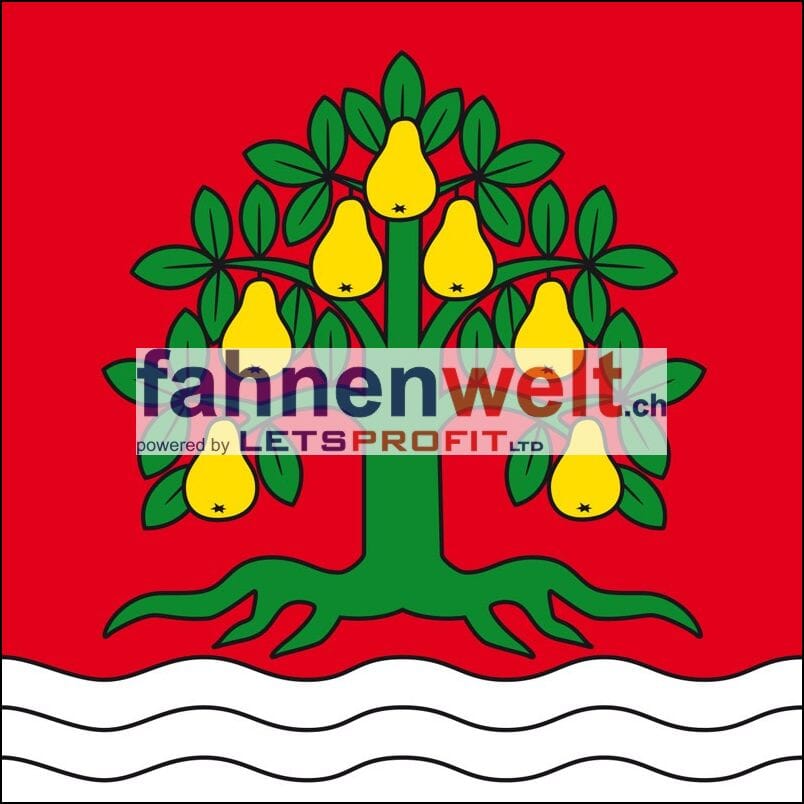 Fahne Gemeinde 5244 Birrhard (AG) | 30 x 30 cm und Gr&ouml;sser - Bild 1
