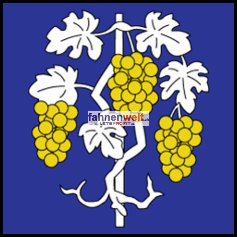 Fahne Gemeinde 1175 Lavigny (VD) | 30 x 30 cm und Gr&ouml;sser - Bild 1