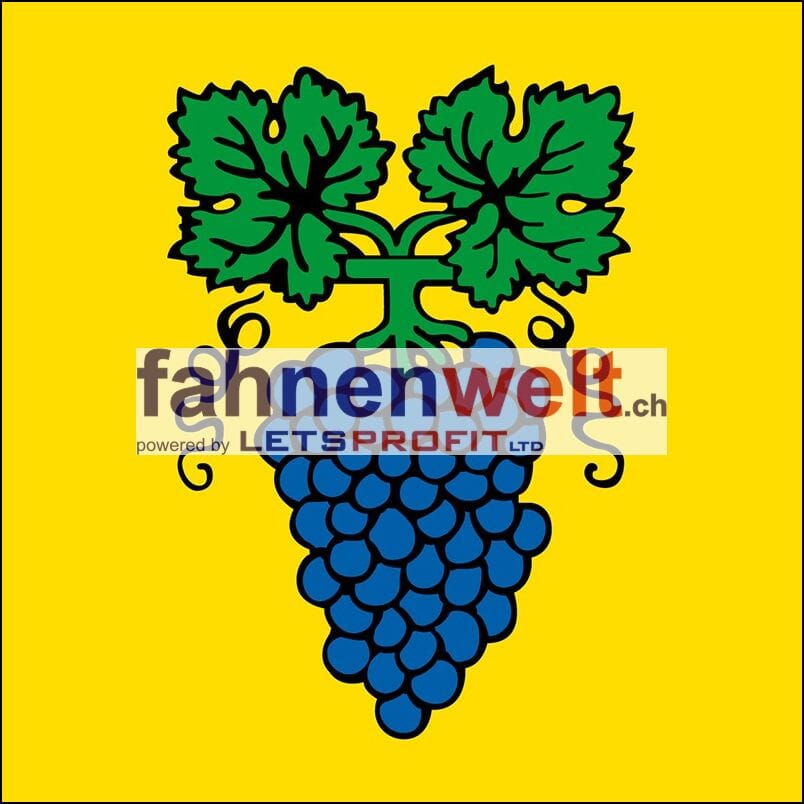 Fahne Gemeinde 9426 Lutzenberg (AR) | 30 x 30 cm und Gr&ouml;sser - Bild 1