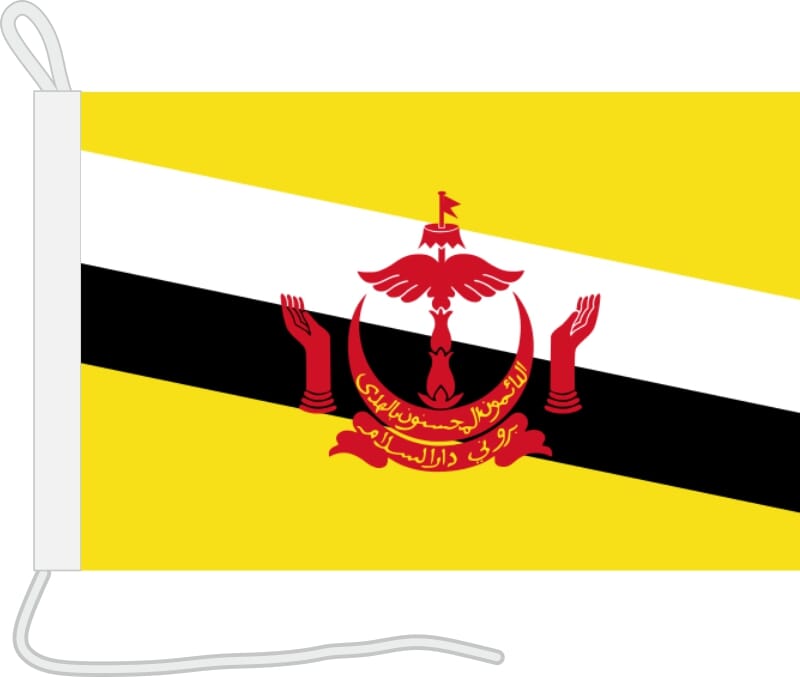 Bootsfahne Brunei | 30 x 45 cm - Bild 1