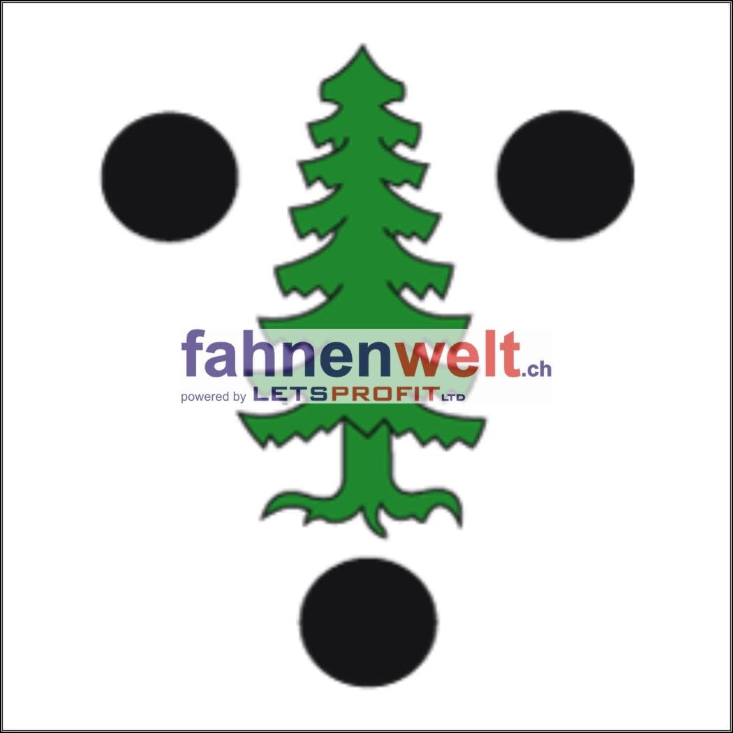 Fahne Gemeinde 7104 Versam Ehemalige Gemeinde (GR) | 30 x 30 cm und Gr&ouml;sser - Bild 1