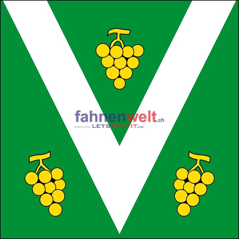 Fahne Gemeinde 6833 Vacallo (TI) | 30 x 30 cm und Gr&ouml;sser - Bild 1