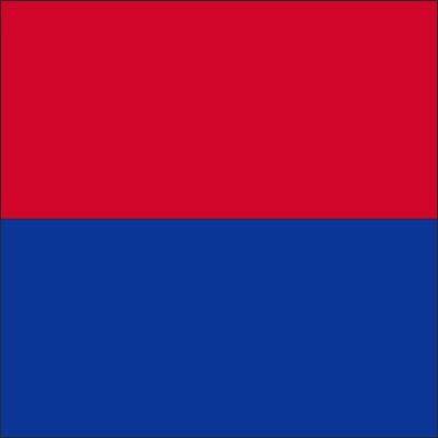 50% Fahne Tessin (TI) gedruckt | 120 x 120 cm | Multi-Flag - Bild 1
