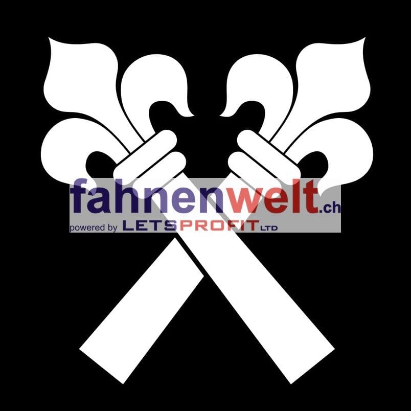 Fahne Gemeinde 4222 Zwingen (BL) | 30 x 30 cm und Gr&ouml;sser - Bild 1