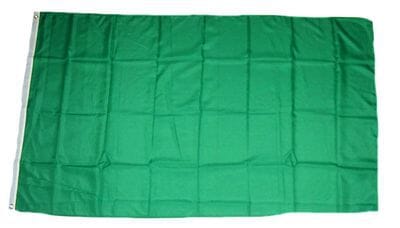 Gr&uuml;ne Fahne gedruckt | 150 x 240 cm - Bild 1