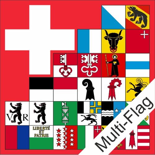 Fahne mit allen Kantonen und CH Kreuz Multi-Flag | ab 80 x 80 cm