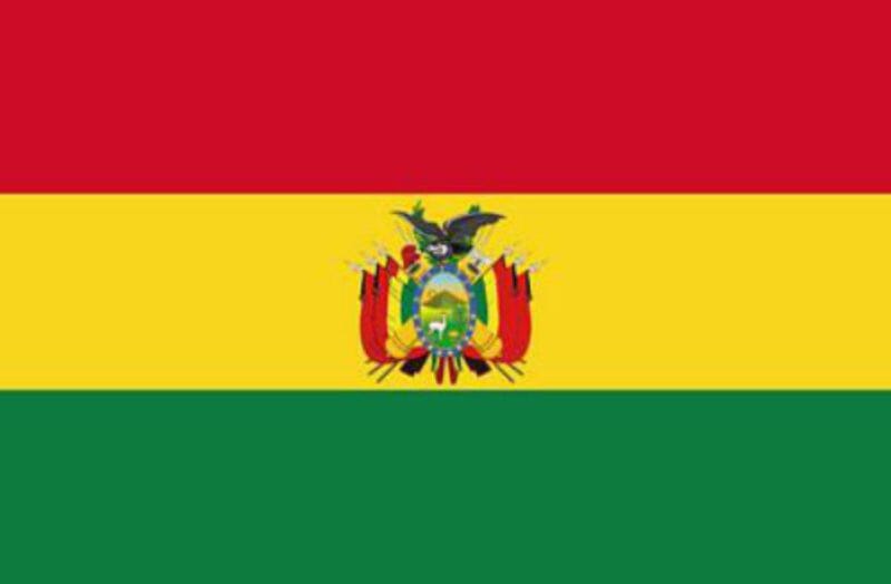 L&auml;nderfahne Bolivien | Multi-Flag | Gr&ouml;sse ca. 90 x 150 cm - Bild 1