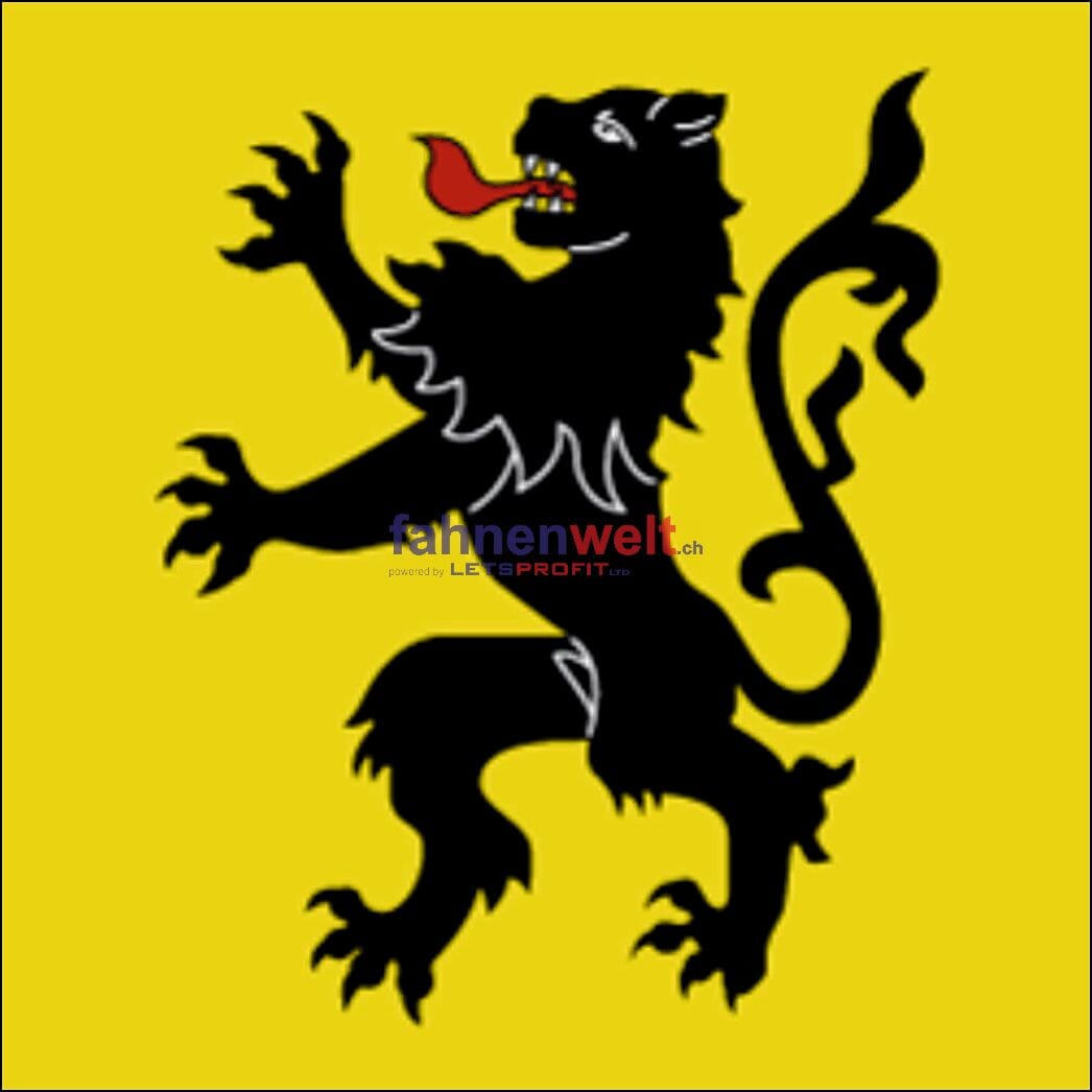Fahne Gemeinde 8565 Hugelshofen Ehemalige Gemeinde (TG) | 30 x 30 cm und Gr&ouml;sser - Bild 1