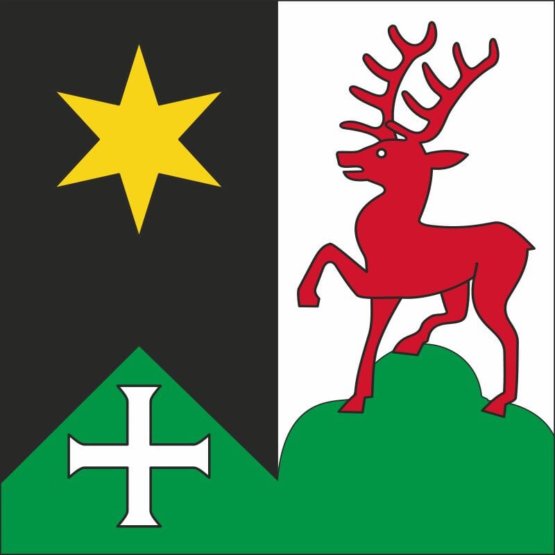 Fahne Gemeinde / Bezirk 9413 Oberegg (AI) | 30 x 30 cm und Gr&ouml;sser - Bild 1