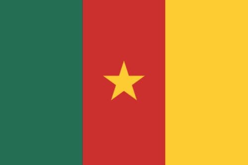 L&auml;nderfahne Kamerun | Multi-Flag | Gr&ouml;sse ca. 90 x 150 cm - Bild 1