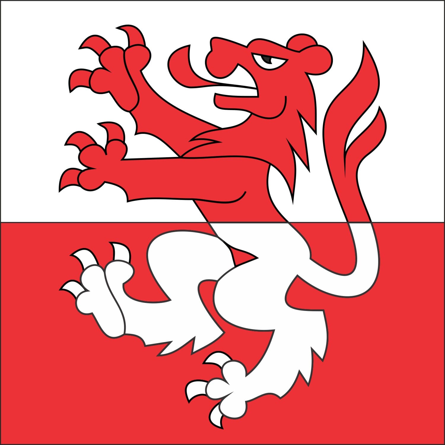 Fahne Gemeinde 3437 R&uuml;derswil (BE) | 30 x 30 cm und Gr&ouml;sser - Bild 1